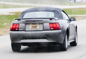 307-1224-TERRY