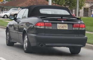 309-6298-BLS4EVR